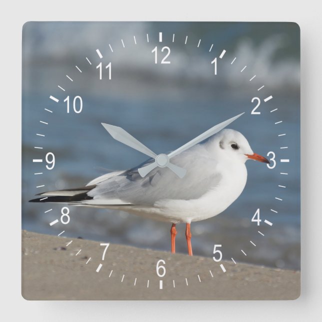 Seagull Quadratische Wanduhr (Vorderseite)