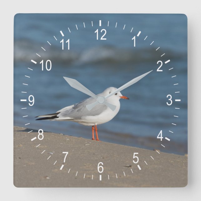 Seagull Quadratische Wanduhr (Vorderseite)
