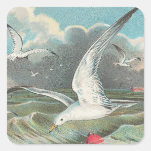 Seagull Quadratischer Aufkleber