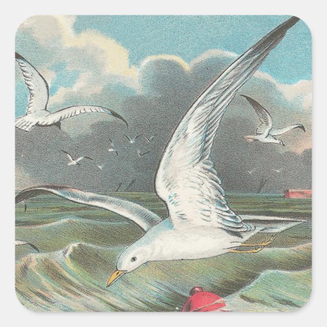 Seagull Quadratischer Aufkleber (Vorderseite)