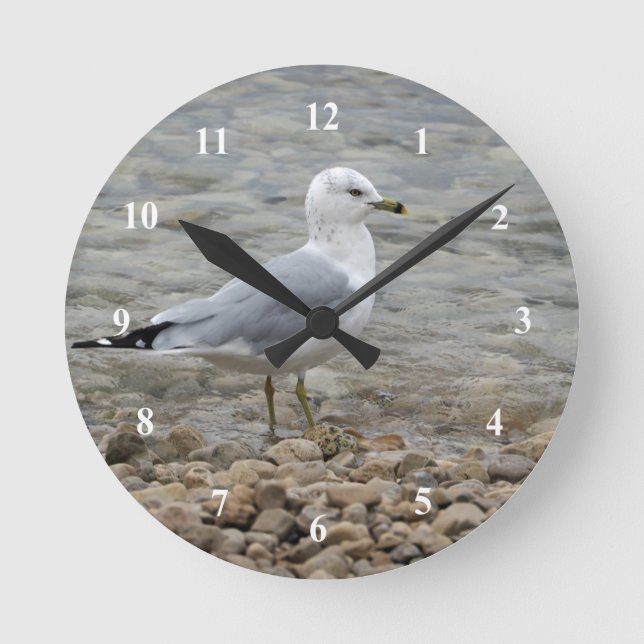 Seagull Runde Wanduhr (Vorderseite)