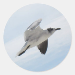 Seagull Runder Aufkleber