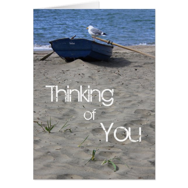 Seagull Sailor (Vorne)