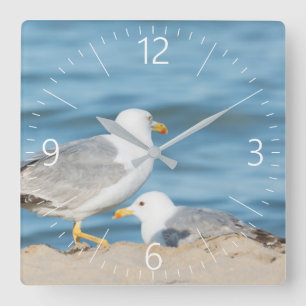 Seagull Spaziergang am Strand Quadratische Wanduhr