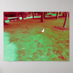 Seagull Spaziergang im Park Poster