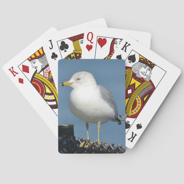 Seagull-Spielkarten Spielkarten (Rückseite)