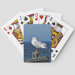 Seagull-Spielkarten Spielkarten