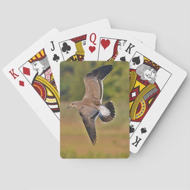 Seagull-Spielkarten Spielkarten (Rückseite)