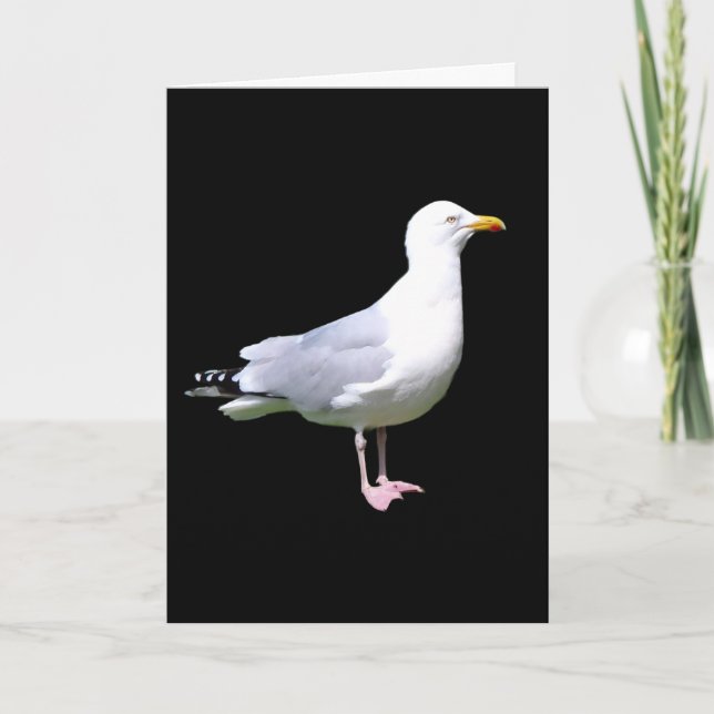 Seagull Stehend Hinzufügen von Textgrüße-Karte Karte (Vorderseite)