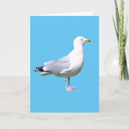 Seagull Stehend Hinzufügen von Textgrüße-Karte Karte