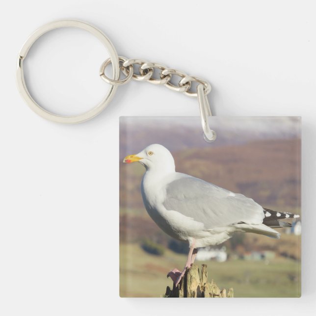 Seagull Stehend Schlüsselanhänger (Vorderseite)