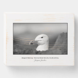 Seagull: Storms River Mouth Wall Art Holzkisten Schild