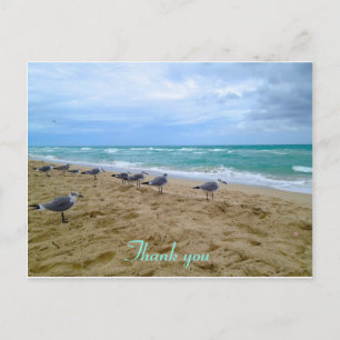 Seagull Strand vielen Dank Postcard Postkarte