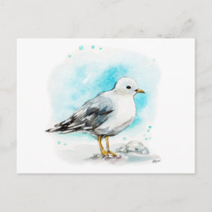 Seagull-Studie 1 Postkarte