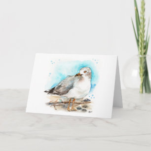 Seagull-Studie 2 Karte