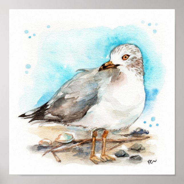 Seagull-Studie 2 Poster (Vorne)