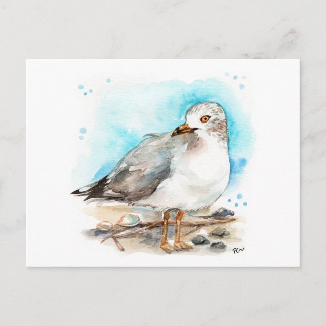 Seagull-Studie 2 Postkarte (Vorderseite)