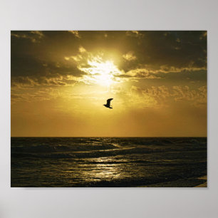 Seagull stürzt in die Sonnenuntergang-Vogelfotogra Poster