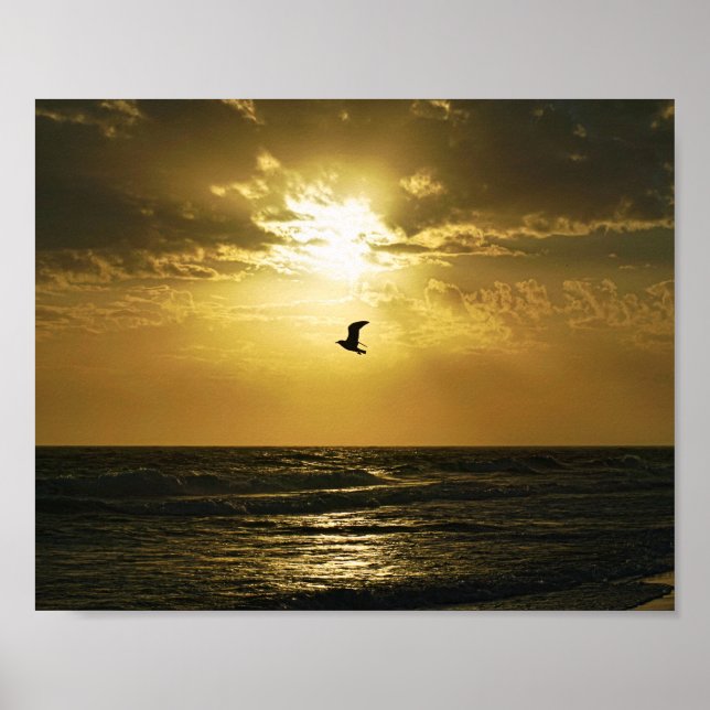 Seagull stürzt in die Sonnenuntergang-Vogelfotogra Poster (Vorne)