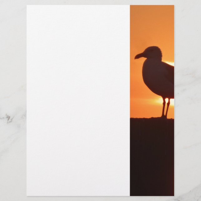 Seagull Sunset (Vorderseite)