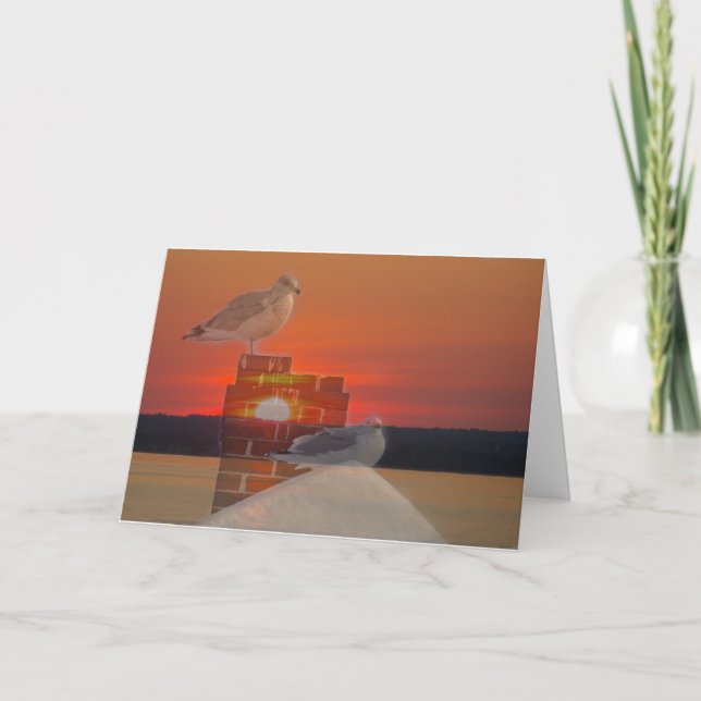 Seagull Sunset Karte (Vorderseite)