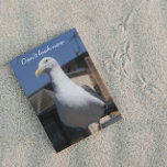 Seagull Surprise Funny Birthday Card Karte<br><div class="desc">Suchen Sie eine richtige,  lustige Geburtstagskarte für jemanden? Wie wär's mit einer Möwenüberraschung? Wählen Sie aus einer matten oder glänzenden Stilkarte.</div>