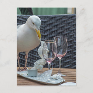 Seagull und leere Brillen Blick Postkarte