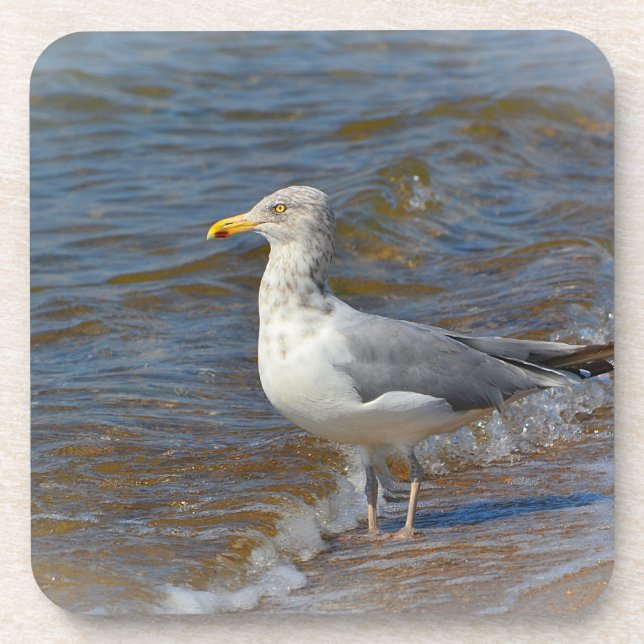 Seagull-Untersetzer Getränkeuntersetzer (Vorderseite)