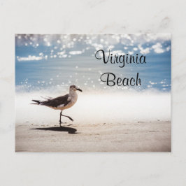 Seagull Walking am Strand von Virginia Postkarte
