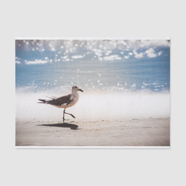Seagull Walking am Strand von Virginia Seidenpapier (Vorderseite)