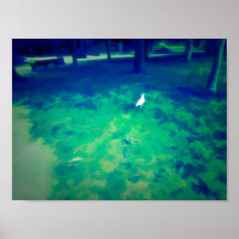 Seagull-Walking auf Grasflüssigkeitseffekt