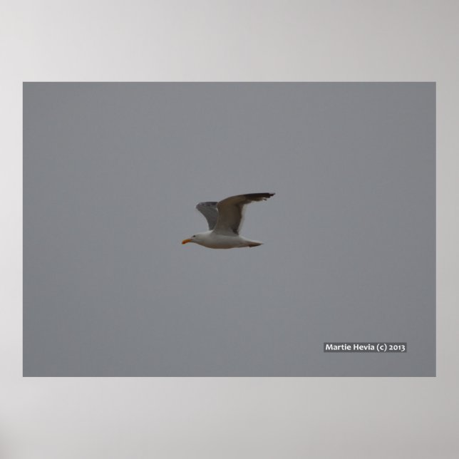 Seagull Wings Poster (Vorne)