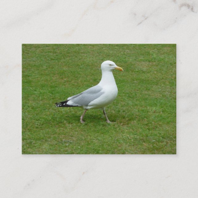 Seagull zu Fuß im Park Visitenkarte (Vorderseite)