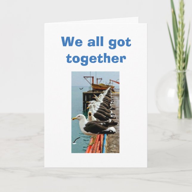 SEAGULLE GOT ZUSAMMEN UND LANDETEN FÜR DIE GEBURTS KARTE (Vorderseite)