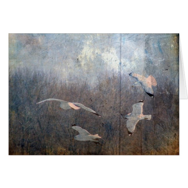 Seagulls (Vorderseite (Horizontal))