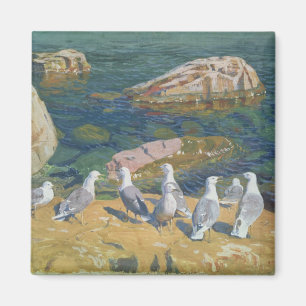 Seagulls, 1910 magnet