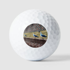 Seagulls Golfball