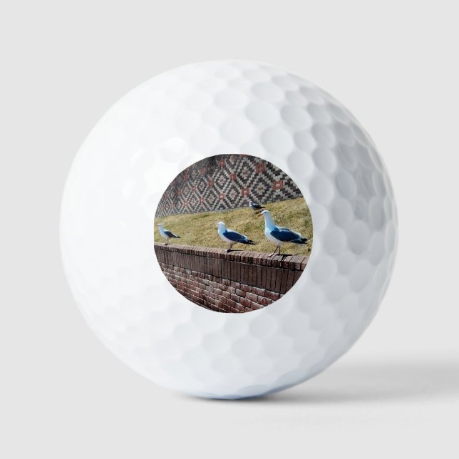 Seagulls Golfball (Vorderseite)