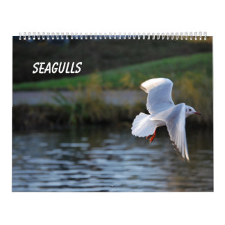 Seagulls Kalender