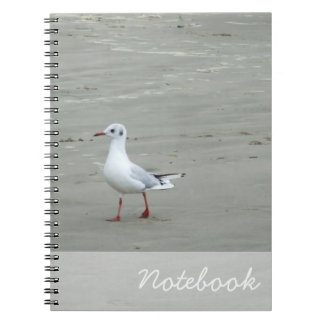 Seagulls-Notebook Notizblock