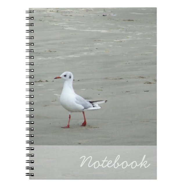 Seagulls-Notebook Notizblock (Vorderseite)