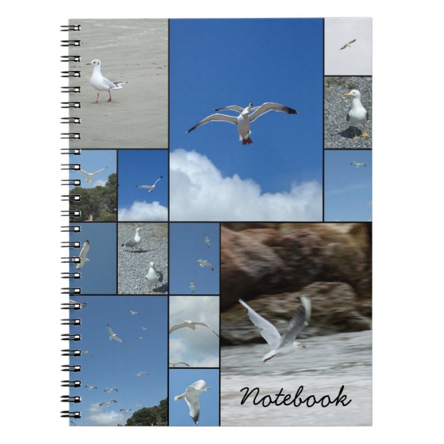 Seagulls-Notebook Notizblock (Vorderseite)