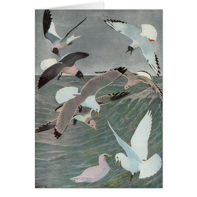 Seagulls Over Ocean Waves von Louis Agassiz Futes (Vorne)