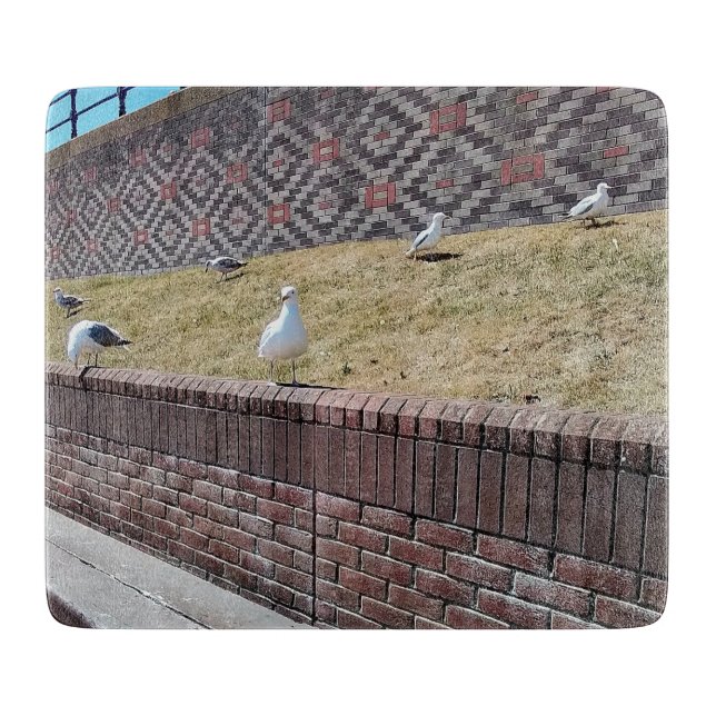 Seagulls Schneidebrett (Vorderseite)