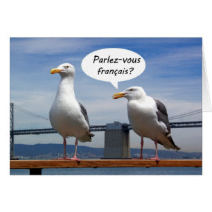 Seagulls sprechen Französisch