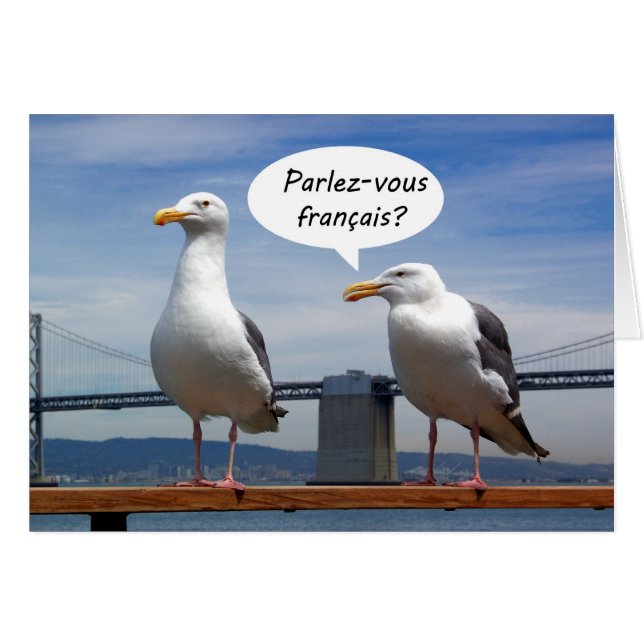 Seagulls sprechen Französisch (Vorderseite (Horizontal))