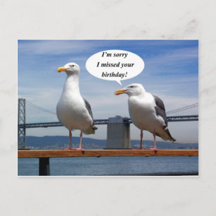 Seagulls sprechen postkarte