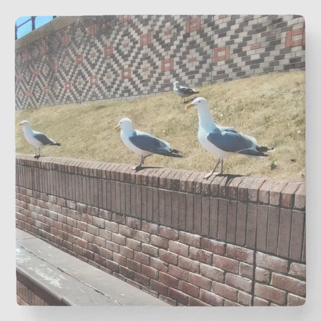 Seagulls Steinuntersetzer (Vorderseite)