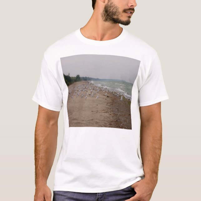Seagulls T-Shirt (Vorderseite)