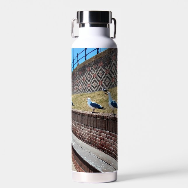 Seagulls Trinkflasche (Vorne)